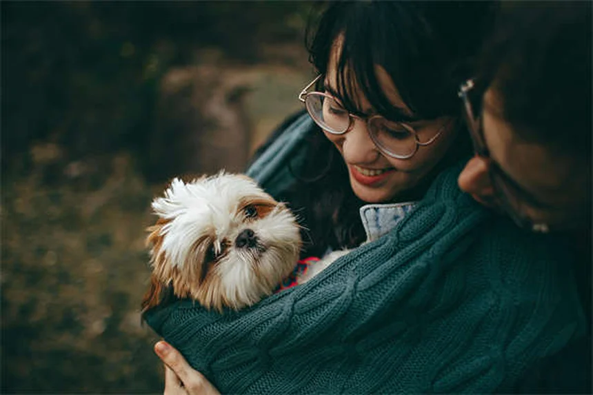 犬の問題行動解決！プロに相談すべきケースと選び方のコツ